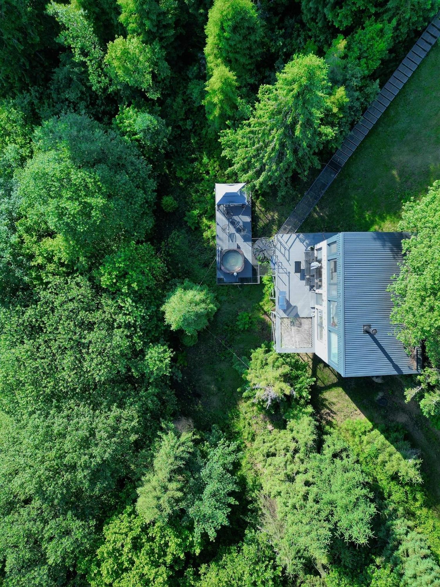 Forest Hub Slavske Ngoại thất bức ảnh